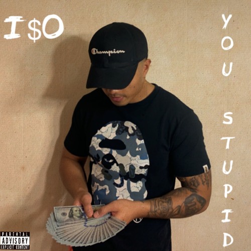 YOU STUPID