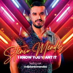 I KNOW YOU WANT IT - STENIO MENDES