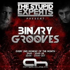The Stupid Experts - Binary Grooves 019