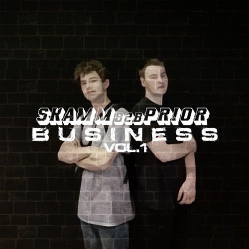 B2B BUSINESS VOL. 1 (SKAMM B2B PRIOR)
