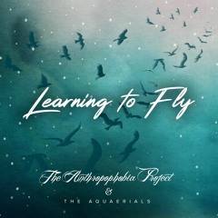 Learning to Fly (feat. The Aquaerials)