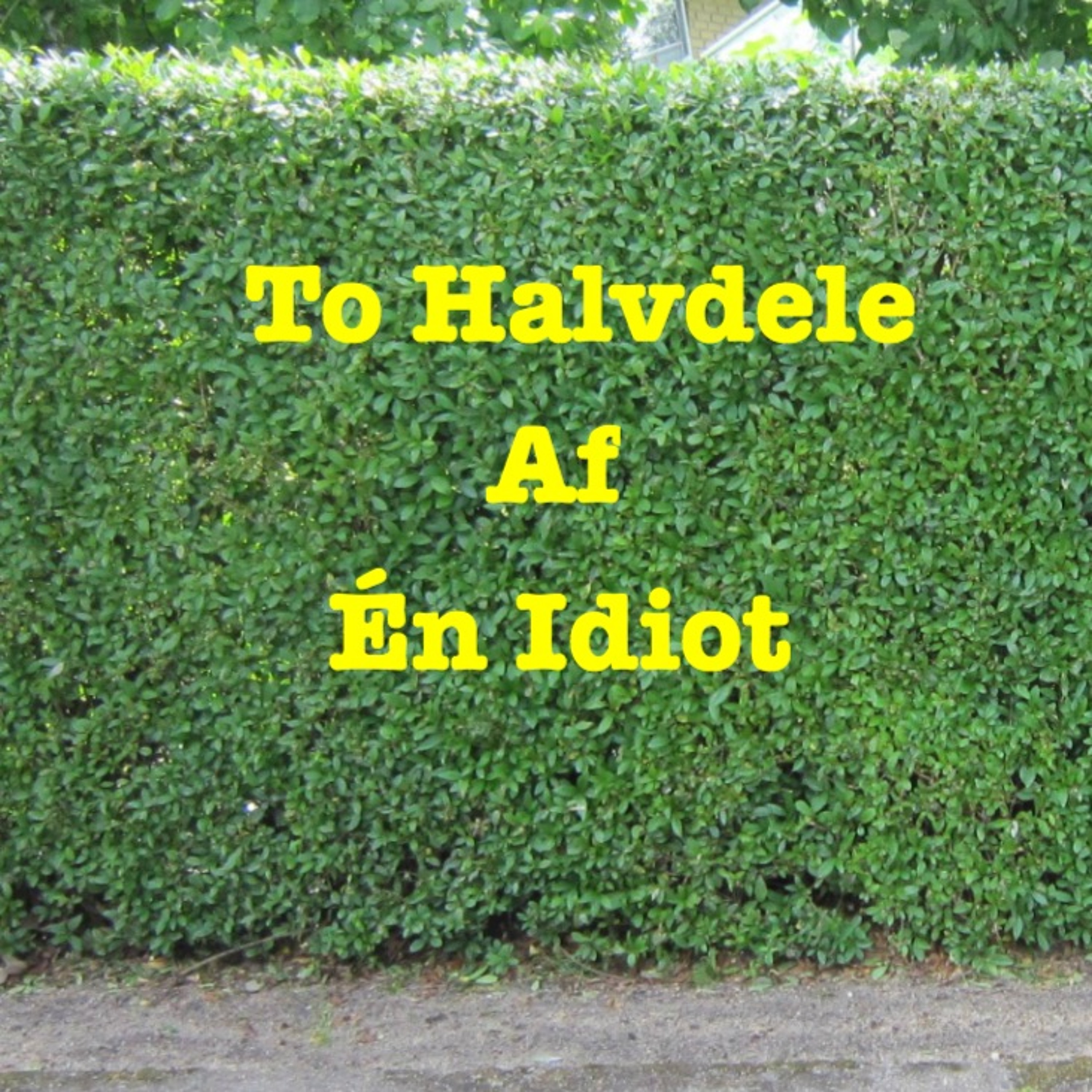 To Halvdele Af Én Idiot