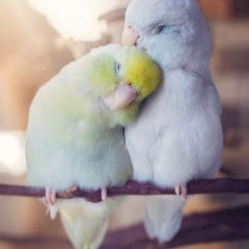 Damien Dawn - Keep It Under (Full Song)