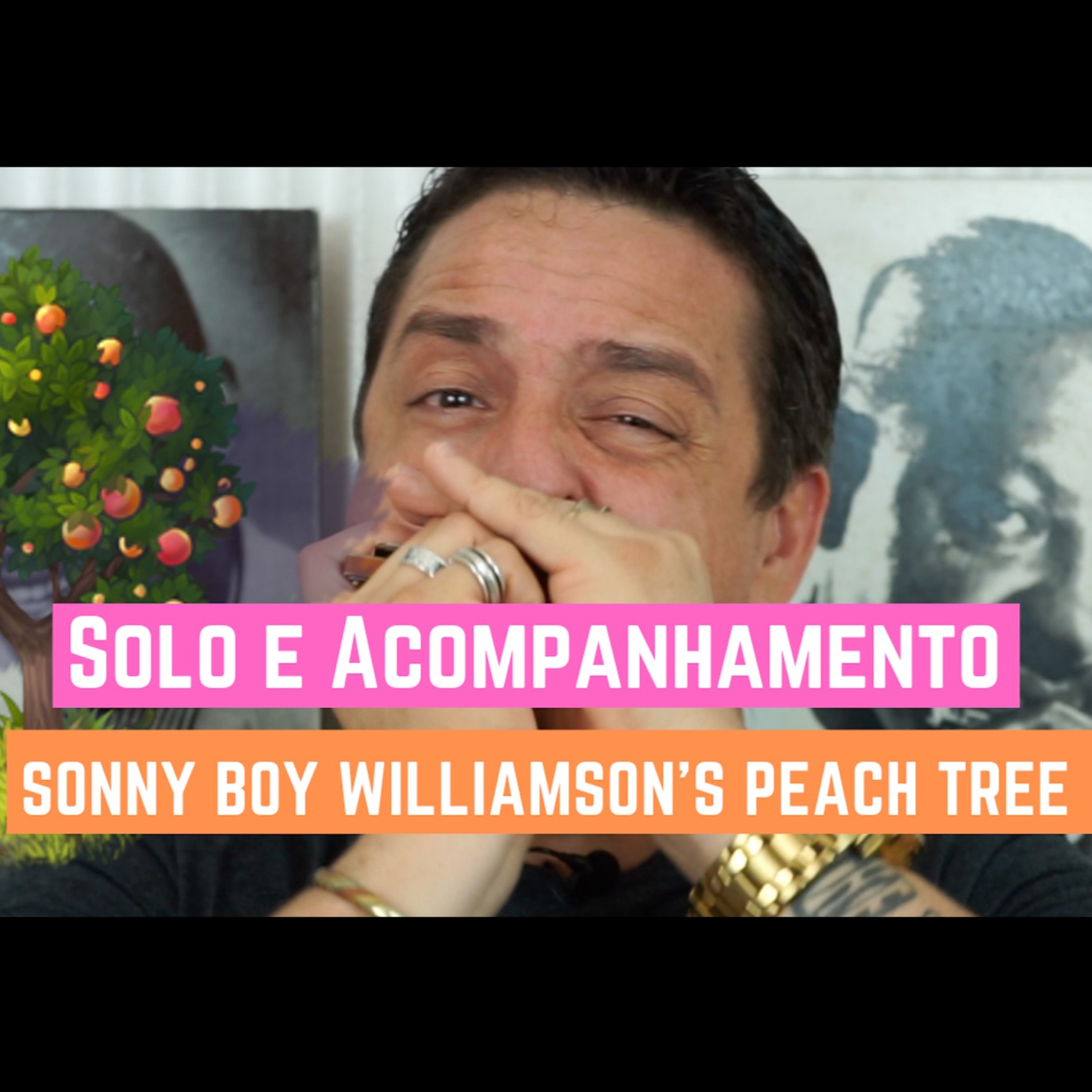 Sonny Boy Williamson's Peach Tree com Solo e Acompanhamento @ Dicas de Gaita com Marcelo Naves episode artwork