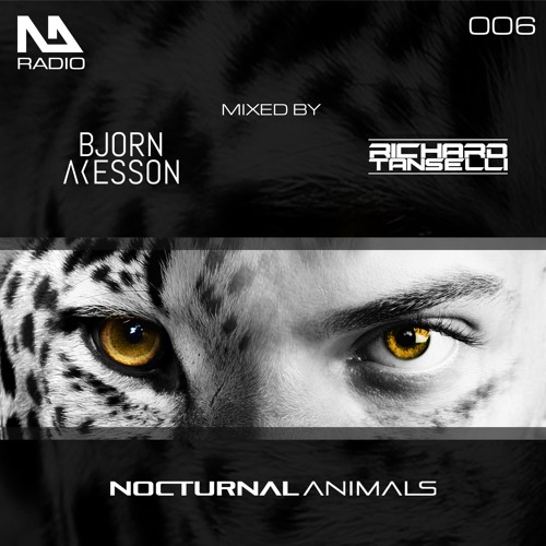 Bjorn Akesson - Nocturnal Animals 006