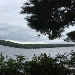 Aerosmith, Foo Fighters, Dark Time Sunshine feat. Reva Devito, The White Stripes