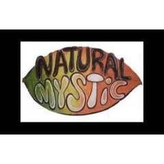 Momonon - Natural Mystic (resha stromp cover)
