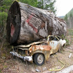 Cortina Debris