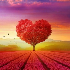 سورة الحجر | هلويست نصر الدين