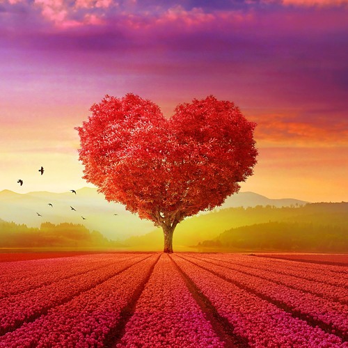 سورة الحجر | هلويست نصر الدين