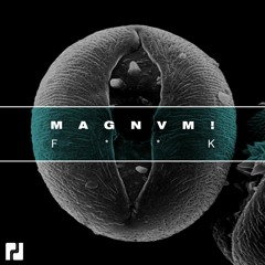 MAGNVM! - f**k (Original Mix)