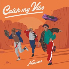 Nebulake - Catch My Vibe