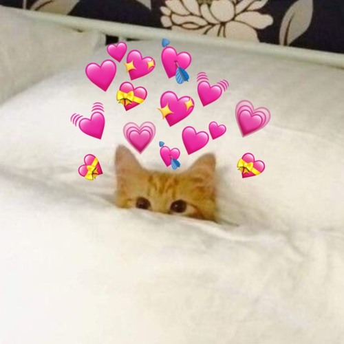 My Boo ( 500 appreciation post )