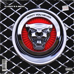 Don't You Never - Bizzo x Flashy B prod. by 5280Mystic