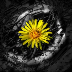 26 9 Prerun CAR 2019 - 09 - 14 22h24m16s