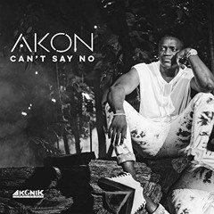 AKON - CAN'T SAY NO (KONNECT Album)(Official Audio)