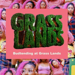 Ep. 2 - The Best Job I've Ever Had