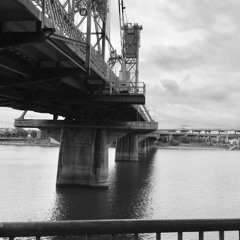 The Bird And The Worm - The Used // iPhone 11 Cinematic Music