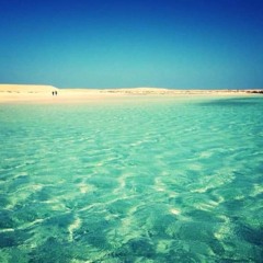 Summer Beach Damage Musica