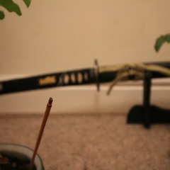 Disciple & Dead Cleric - Global DemiGods (Beat - Cold prod by - Sample Wilson