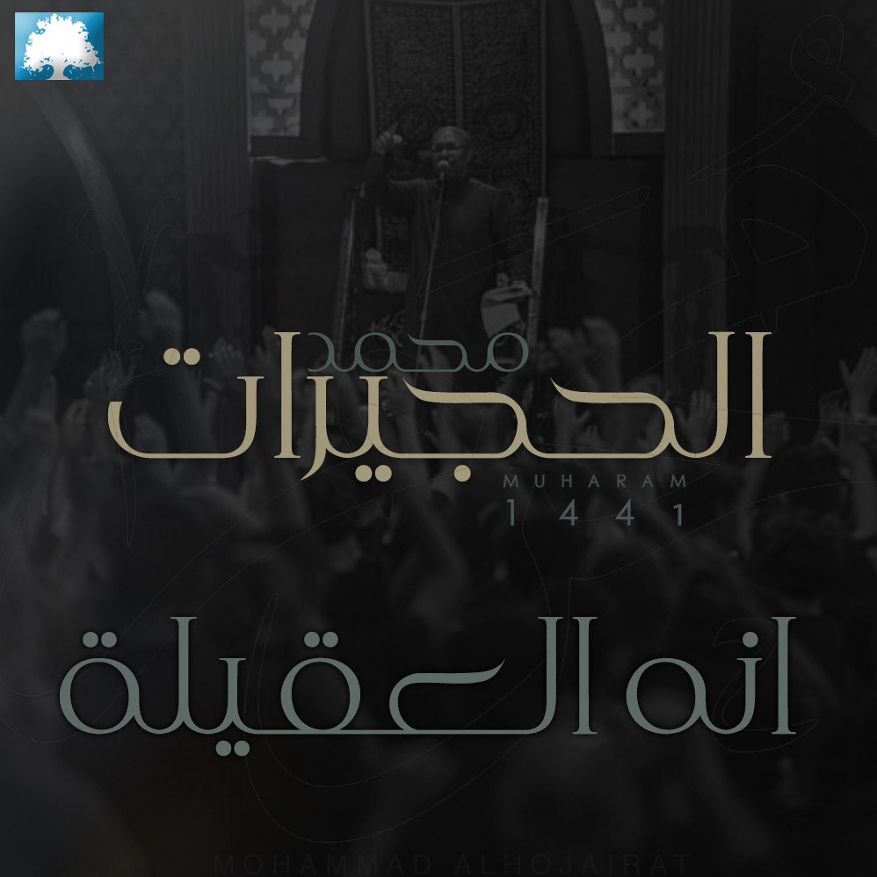 انه العقيلة  | محمد الحجيرات  | ليلة 14 محرم 1441 هـ episode artwork