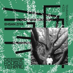 Tehran Night #220 Ehsan Ziya [Special Guest]