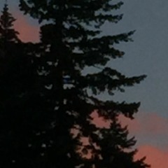 Notthesame ft GHOST!N47