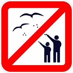 Möwen füttern verboten