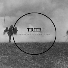 TRIIB - A Hole