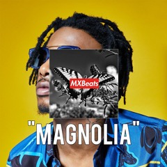 [FREE] "Magnolia" - Melodic Chill HipHop/Rap/Trap Playboi Carti x Pi'erre Bourne Type Beat