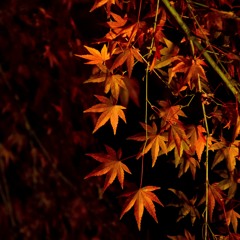 Autumn_inst ver.