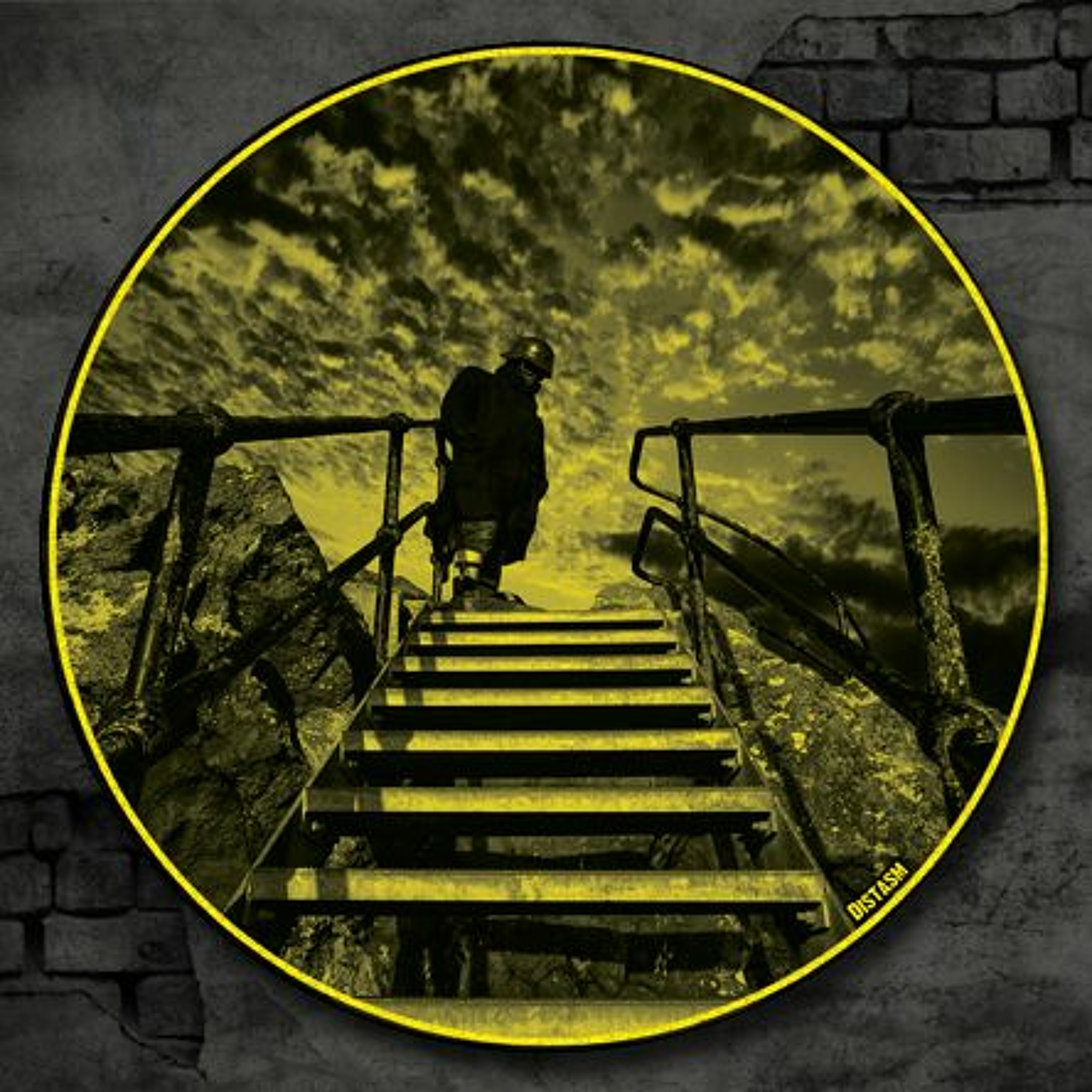 RRR014 - Somatic Responses - Distasm episode artwork