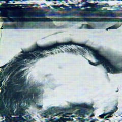 Single Drop of Blood on an Orchid