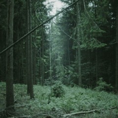 Newman Podcast ǀ Fall-Dj-Mix [14.09.2019]   ҈