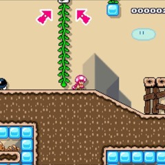 P o k e y s (Super Mario Maker 2 - SMW Desert Remix)