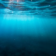 Submerged