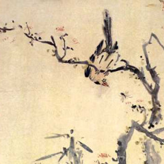 비익련리(比翼連里) (Lovers)