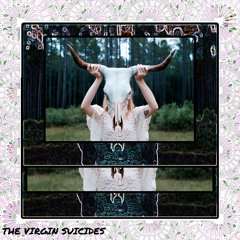 The Virgin Suicides