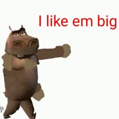Big and Chonky