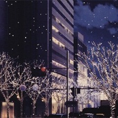 冬のフォトグラフ/ Wink(1990)