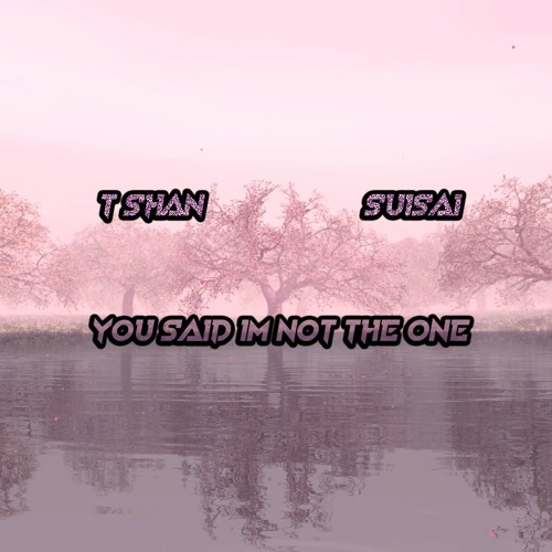 You Said Im Not The One w/ SuiSai (prod. Metlast)