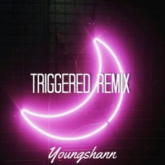 Triggered (Remix)