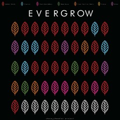 EVERGROW #41 - Foundation Nightclub Live Set: 4/6/18 (Bigroom/Trap/Electro)