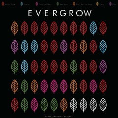 EVERGROW #46 - Trinity Nightclub 12/1/19 (Festival/Bigroom/Trap)