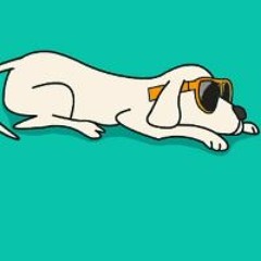 Rin Act2 - Rumor (short)