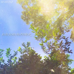 Willowwither