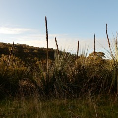 Fleurieu & Kangaroo Island Sound Map recordings (2011-present)