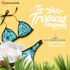 Level Vibes LIVE @ Paranice #SKIN