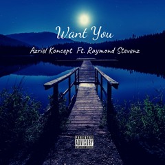 Want You Ft Raymond Stevenz Prod. Noden