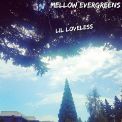 Mellow Evergreens Prod. Herbywizbeatz x [REDACTED]
